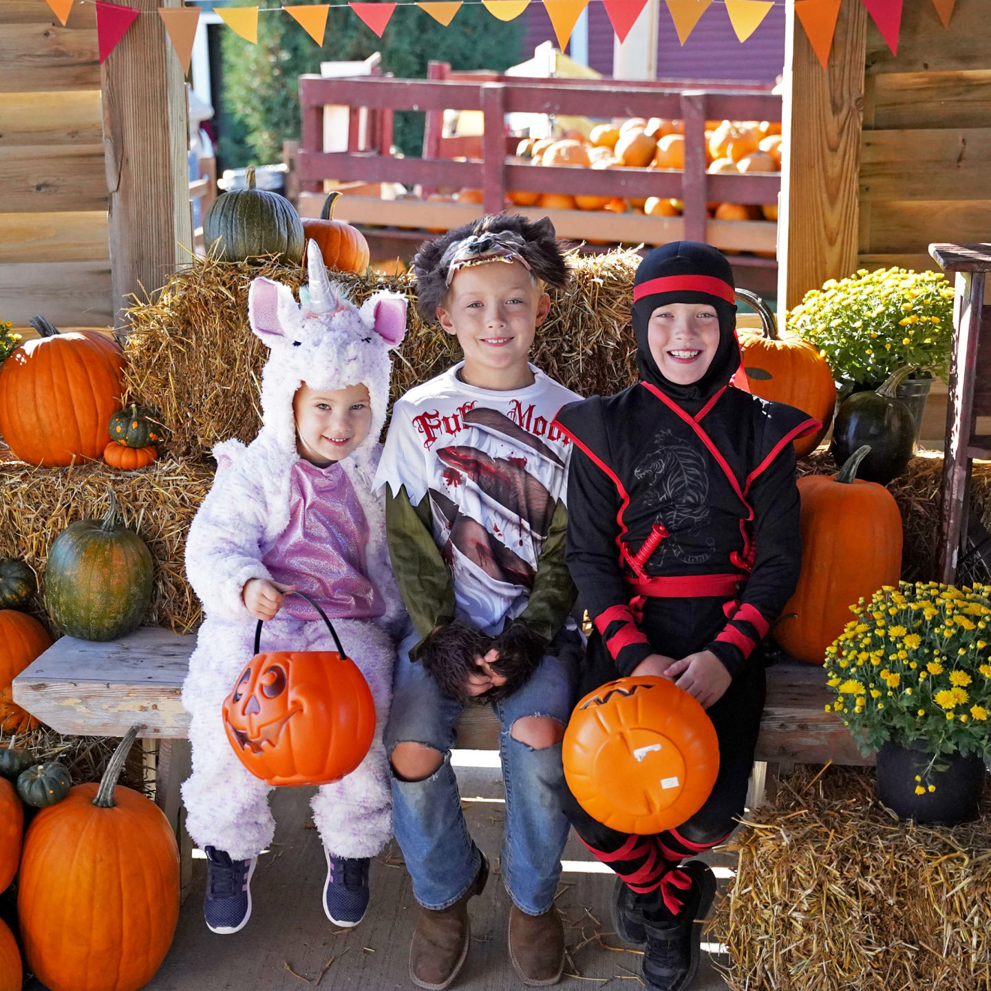 Pumpkin Party 1